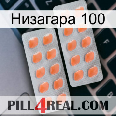 Низагара 100 27